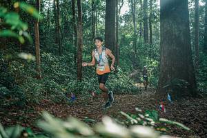 BIB: 
                            <button type="button" onclick="openModal(26067028)" class="btn btn-primary btn-sm float-right btn-popup" data-toggle="modal" data-target=".modal-high-quality">
                        <i class="fas fa-shopping-cart"></i> Add to Cart
                    </button>
                                            <button type="button" onclick="isThisMe(26067028, true)" class="btn btn-success btn-sm float-right btn-popup btn-isme hidden" data-toggle="tooltip" data-placement="bottom" title="นี่คือรูปของคุณใช่ไหม คลิกที่นี่เพื่อเอาเข้าอัลบั้ม">
                        <i class="fas fa-plus"></i> Add to album
                    </button>
                    <button type="button" onclick="isThisMe(26067028, false)" class="btn btn-warning btn-sm float-right btn-popup btn-isnotme hidden">
                        <i class="fas fa-ban"></i> Remove from album
                    </button>